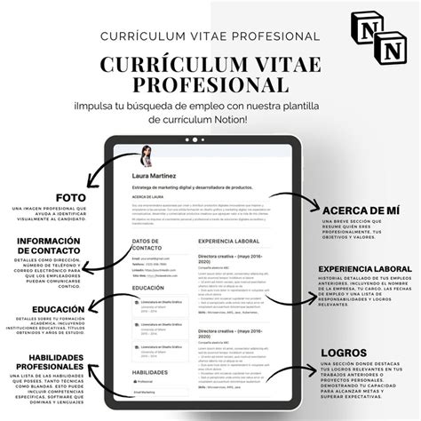 Plantilla De Curr Culum Profesional De Notion Dise O Creativo Y