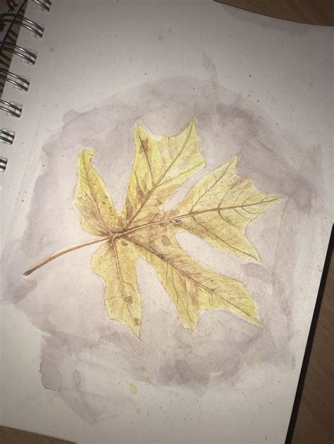 Watercolor Leaf | Skillshare Student Project