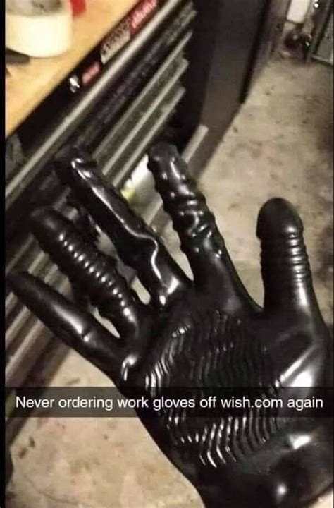 Never Ordering Work Gloves Off Wishcom Again Stupid Funny Memes