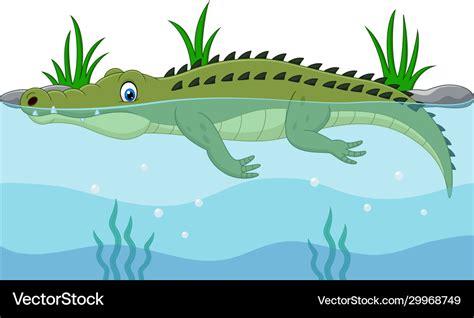 Cartoon Gator Swimming