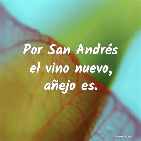 Por San Andr S El Vino Nuevo A Ejo Es