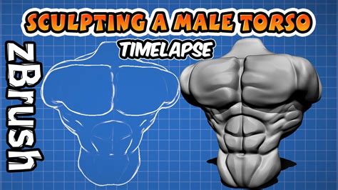 Sculpting A Strong Male Torso In ZBrush Timelapse YouTube