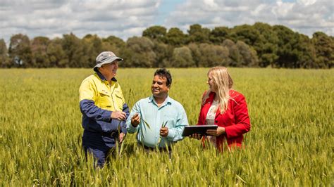 Helping Farmers To Improve Their Carbon Footprint And Reporting Csu News