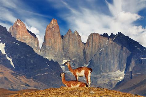 Los 10 paisajes naturales más hermosos de Sudamérica Coyotitos