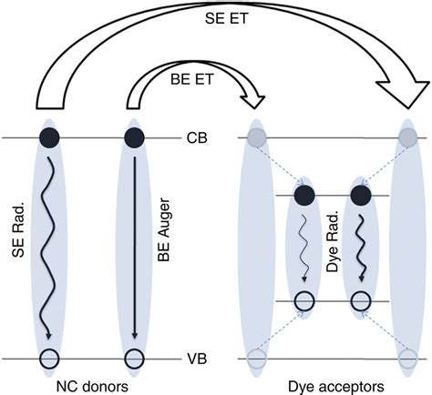 Schematic Of The Et Method For Biexciton Extraction Illustration Of The