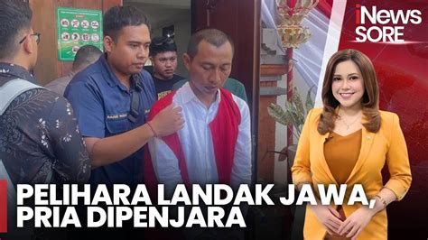 Pria Di Badung Dipenjara Gara Gara Pelihara Landak Jawa INews Sore 12