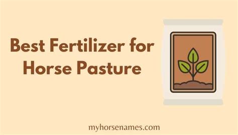 11 Best Fertilizer For Horse Pasture 2024 Reviews Equine Desire