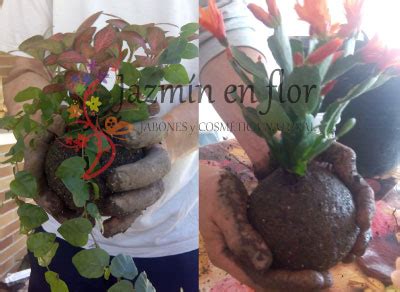 Taller De Kokedama Bola De Musgo Jazm N En Flor