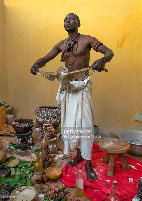 Benin West Africa Bonhicon Kagbanon Bebe Voodoo Priest With A Owl