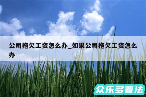 公司拖欠工资怎么办如果公司拖欠工资怎么办 法律知识投稿 众乐多普法