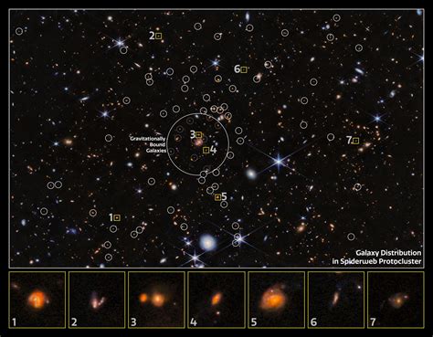 Webb Uncovers Growing Galactic City In Spiderweb Cluster