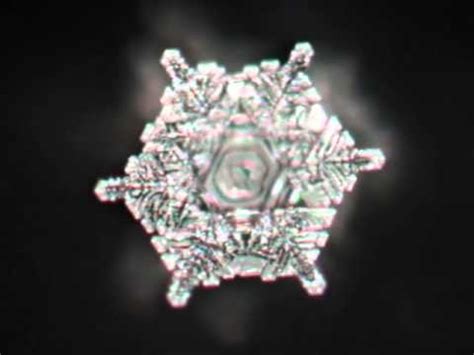 Masaru Emoto Water Crystal Images - Kizziwalob