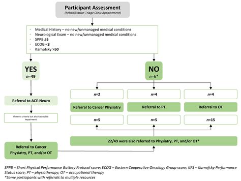 Feasibility and Implementation of an Oncology Rehabilitation Triage