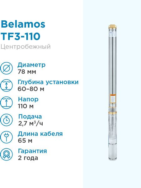 Насос погружной скважинный Belamos TF3-110 2,7 м3/час, 45 л/мин, Н-110 ...