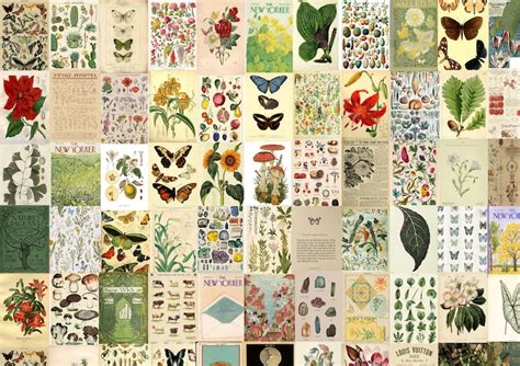 115 Pcs Botanical Poster Wall Collage Kit Vintage Poster Etsy