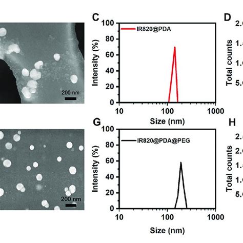 Characterization Of IR820 PDA NPs And IR820 PDA PEG NPs A TEM Scale