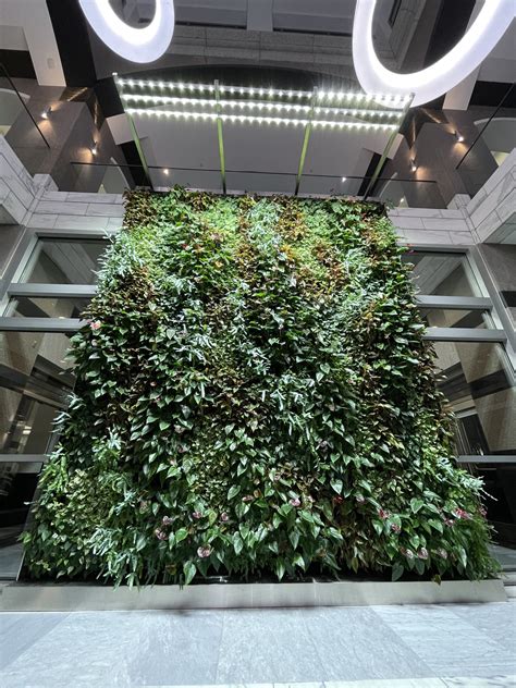 Minneapolis Green wall – SST Lighting