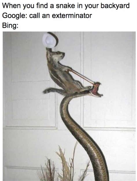 18 Hilarious Google vs Bing Memes You'll Feel Bad For Laughing At