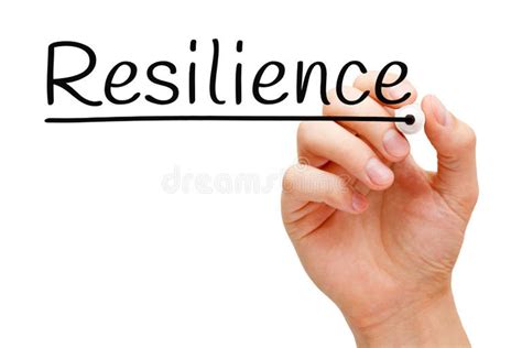 54716 Resilience Stock Photos Free And Royalty Free Stock Photos From