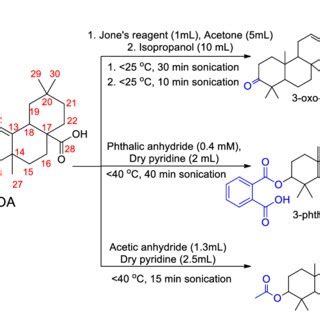 H Bond Pattern Of 3 Phthaloyl Oleanolic Acid With Interacting Residues