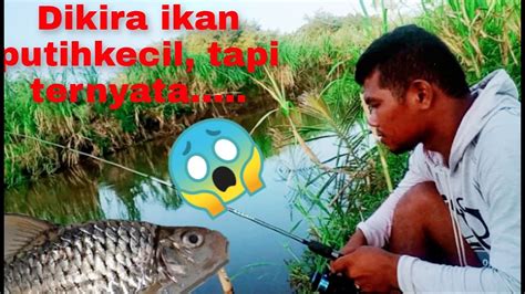 Awalnya Ikan Tidak Mau Makan Umpan Tapi Setelah Strike Pertama Lihat