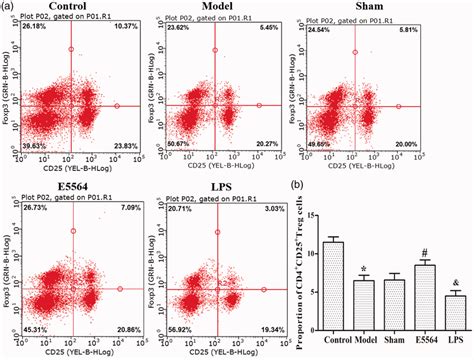 Flow Cytometric Analysis Of CD4CD25Foxp3 Tregs In Mice A CD4 And