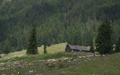 Hiking Tour In Piatra Craiului National Park