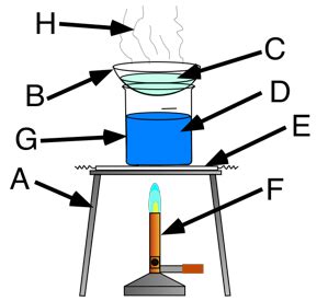 Labelled Diagram Of Evaporation