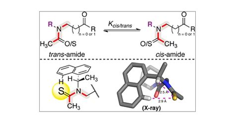 CisTrans Amide Bond Rotamers in β Peptoids and Peptoids Evaluation of