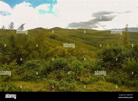 Scenic View Of The High Altitude Moorland In The Aberdare National Park