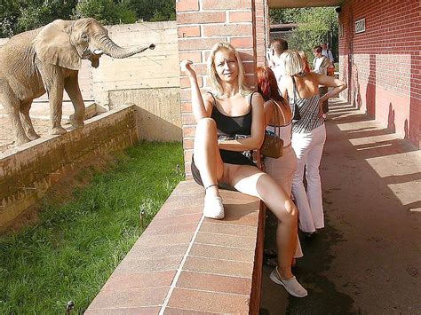 Amateur Public Nudity Porn Pictures XXX Photos Sex Images 381173 PICTOA