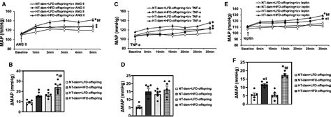 Maternal Angiotensin Iiinduced Hypertension Sensitizes Postweaning