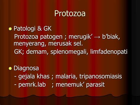 Ppt Protozoa 1 Powerpoint Presentation Free Download Id2119997