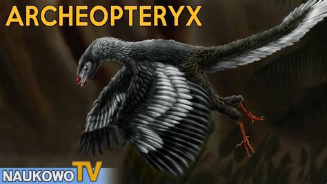 Archeopteryx Jurajski Praptak Brakuj Ce Ogniwo Ewolucji Cda