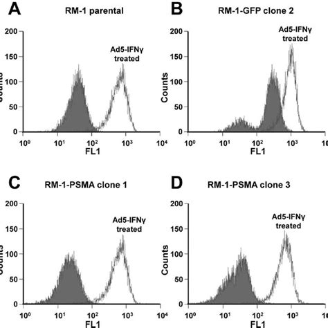 Flow Cytometry Analysis Of MHC Class I Cell Surface Expression In RM 1