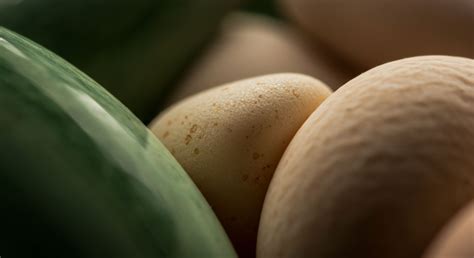 How Can Consumers Properly Recycle or Compost Different Types of