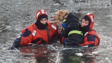 Riedsee In Stuttgart Hund Bricht Im Eis Ein Feuerwehr Reagiert