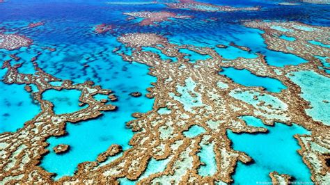 Al Borde Del Abismo Un Viaje A La Gran Barrera De Coral Bioguia