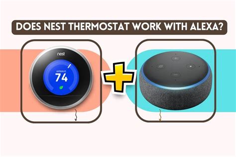 Does Nest Thermostat Work With Alexa Let S Find Out