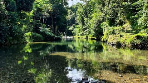 El Yunque Activities Combo Tour | JungleQui Zipline Park