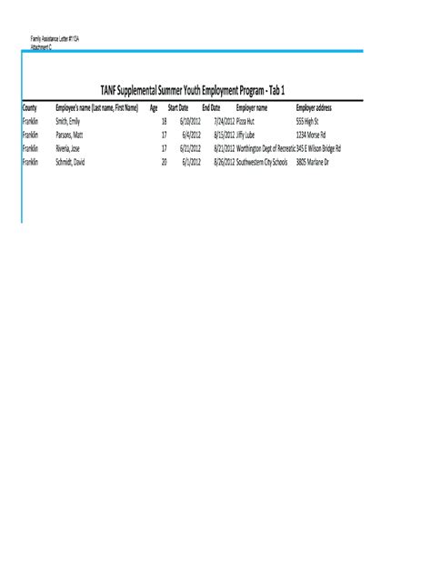 Fillable Online Jfs Ohio Syp Reporting Form Sample Xlsx Ohio