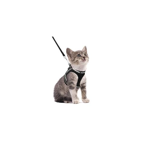 Best Cat Harness And Leash Set 2020 | Walking Escape Proof