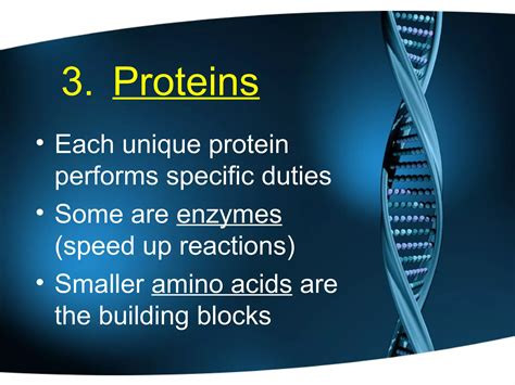 Biological Proteins Examples Include Enzymes That Speed Up Life - RYZE Superfoods