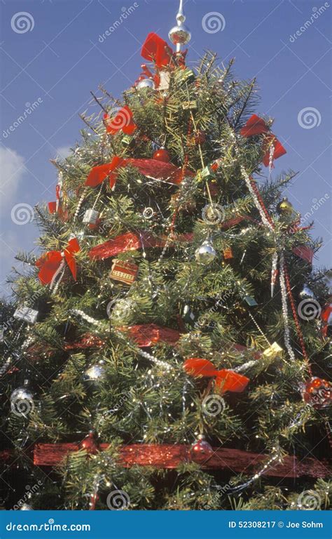 Christmas Tree, Los Angeles, California Stock Image - Image of ...