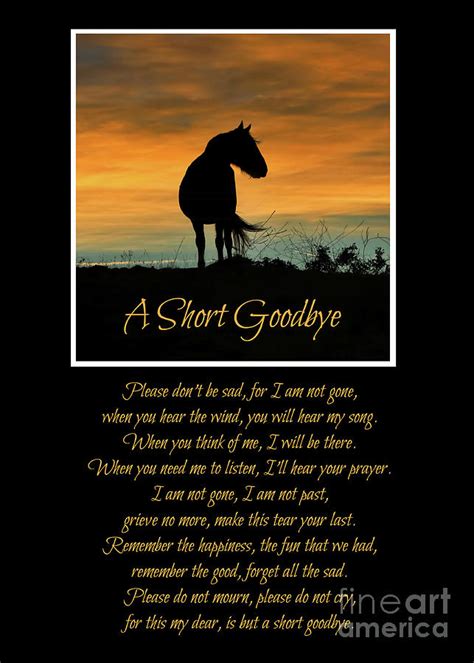 Sad Horse Poems