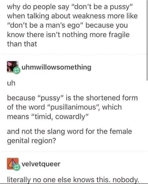 Pussy R Memes Of The Dank