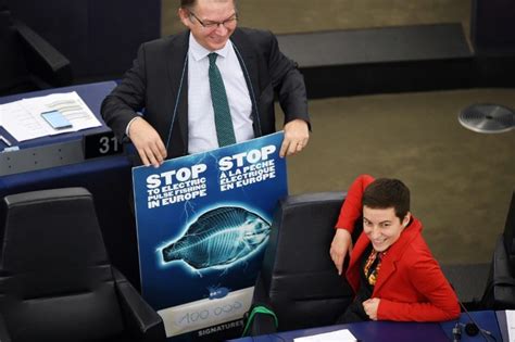 EU Parliament Calls For Ban On Electric Pulse Fishing