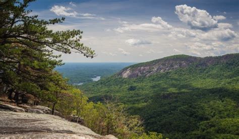 Headwaters State Forest: Sassafras Mountain Hike - Conserving Carolina