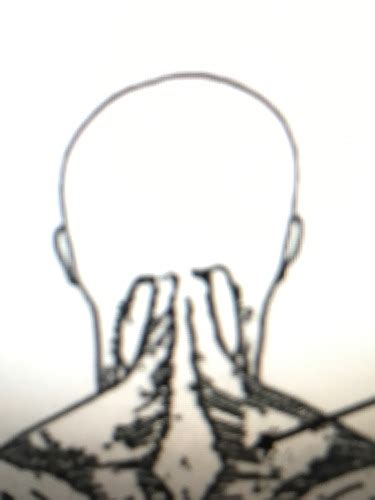 Anterior Posterior Flashcards | Quizlet