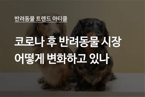 코로나 이후 국내 반려동물 시장 어떻게 변하고 있나